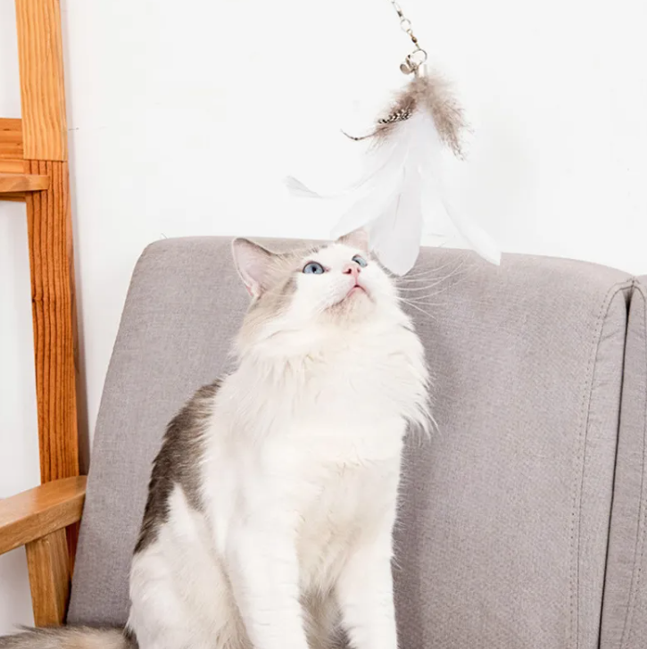 Suction Cup Cat Wand Toy